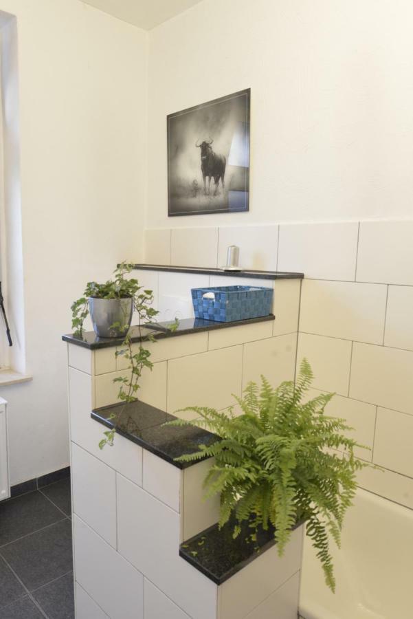 Kaiserliche Hofpost, Mit Whirlpool Und 2 Terrassen Schleiden Exteriér fotografie
